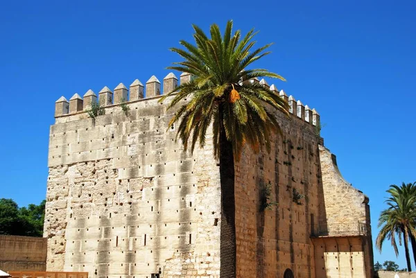 Вид Замок Гоменаж Torre Homenaje Херес Фронтера Провінція Кадіс Андалусія — стокове фото