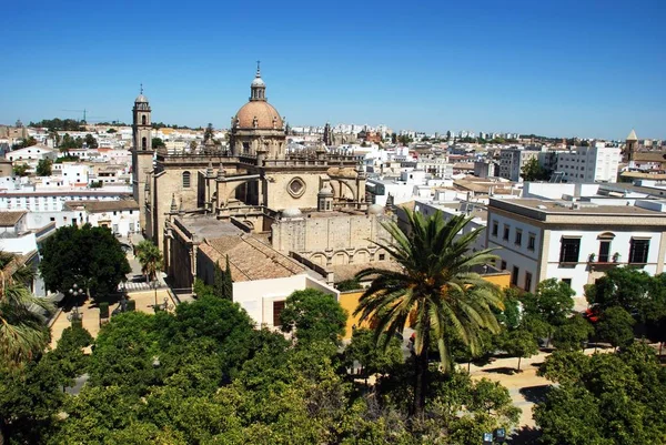 Jerez Frontera Spanyolország Augusztus 2008 Salvador Cathedral Bell Tower Palacio — Stock Fotó