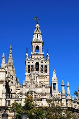 Saint Mary Katedrali (Santa Maria de la Sede Katedrali) ve La Giralda Kulesi, Seville Eyaleti, Endülüs, İspanya, Avrupa.