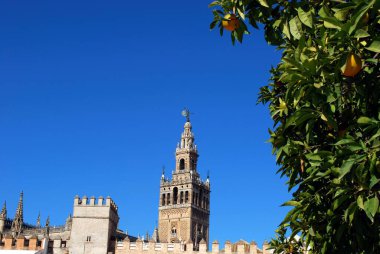 Plaza Patio de Banderas, Seville, Seville, Endülüs, İspanya ve Avrupa 'dan Saint Mary Katedrali ve La Giralda Kulesi.