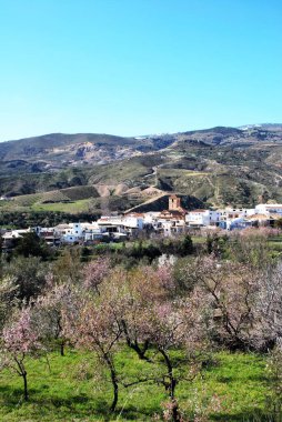 Sierra Nevada Dağları arka Cadiar, Las Alpujarras, Granada ili, İspanya, Batı Avrupa ile beyaz köy görünümü.