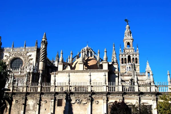 Gezicht Kathedraal Van Santa Maria Sede Toren Van Giralda Sevilla — Stockfoto