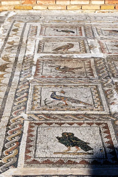 Mosaic Floor Bird House Roman Ruins Italica Seville Seville Province — Stock Photo, Image