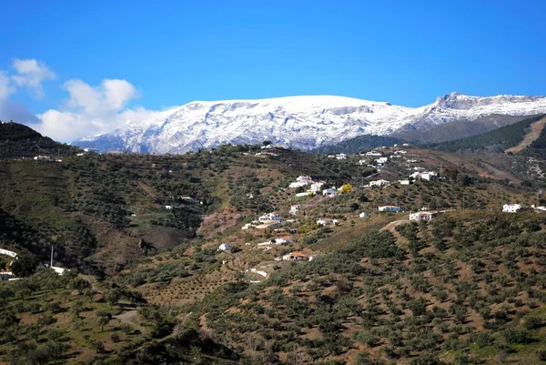 雪のある田舎の一般的なビューは 背面に山をキャップ サラレス コスタ マラガ県 アンダルシア スペイン — ストック写真
