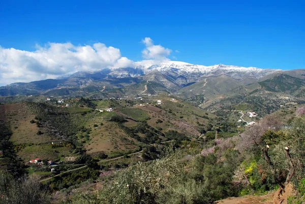 View Countryside Snow Capped Mountains Salares Costa Del Sol Malaga — Stock Photo, Image