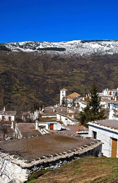Uzun Bacaları Olan Eşsiz Düz Gri Odalar Bubion Las Alpujarras — Stok fotoğraf