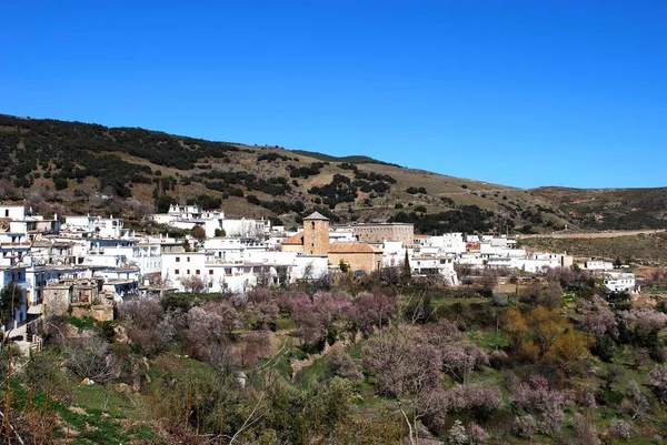 Kilátás Város Tavasszal Virágos Fák Előtérben Juviles Las Alpujarras Granada — Stock Fotó