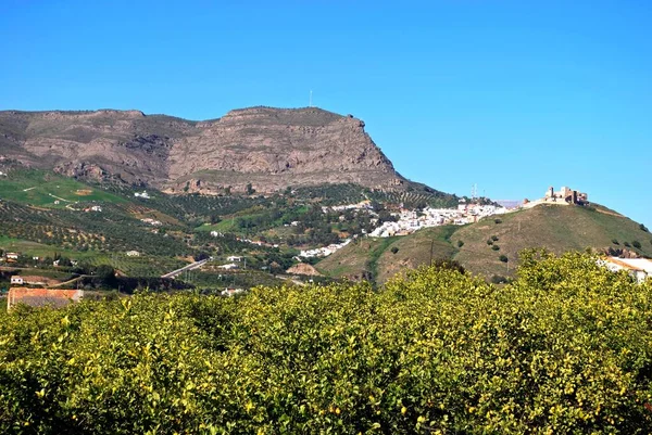 西班牙 安达卢西亚 马拉加省 阿拉拉 前景色为柠檬树的小镇 — 图库照片