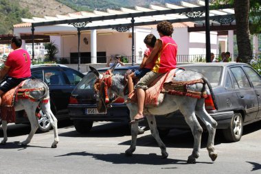Mijas, İspanya - 06 Ağustos 2008 - Çocuk kasaba merkezinde eşek gezisine çıkıyor, Burro Taksi, Mijas, İspanya - 06 Ağustos 2008