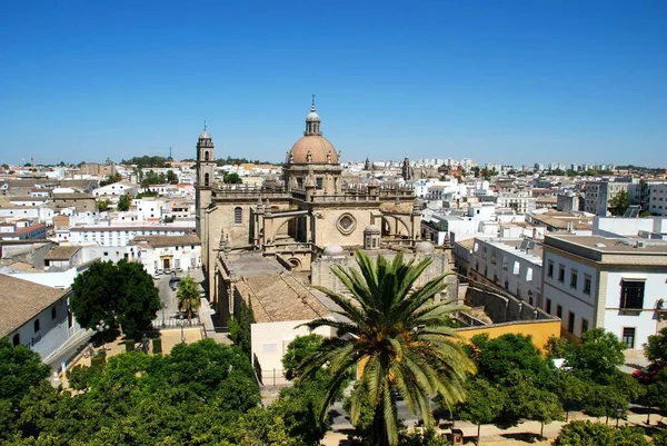 Jerez Frontera Španělsko Srpna 2008 Pohled Katedrálu San Salvador Střechy — Stock fotografie