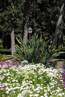 Constitution Park, Marbella, Costa del Sol, Malaga Vilayeti, Endülüs, İspanya.