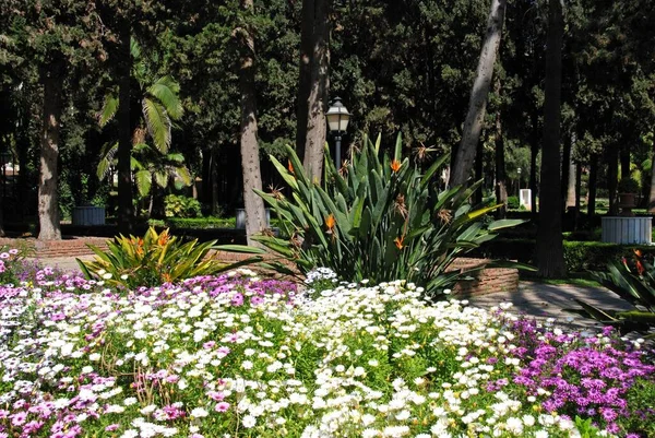 View Pretty Gardens Constitution Park Marbella Costa Del Sol Malaga — Stock Photo, Image