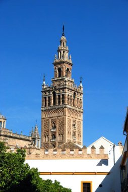 Giralda kulesi Seville, Seville, Endülüs, İspanya 'da Patio de Banderas' tan görüldü..
