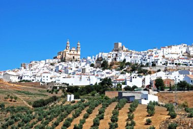 Overa, Cadiz Vilayeti, Endülüs, İspanya