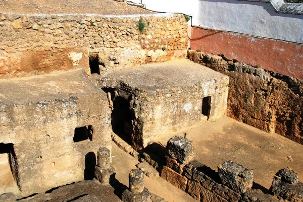 Vue Sur Les Ruines Tombeau Des Éléphants Tumba Del Elefante — Photo