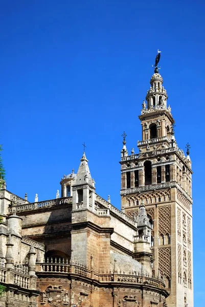 View Cathedral Giralda Tower Seville Seville Province Andalucia Spain — Stock Photo, Image