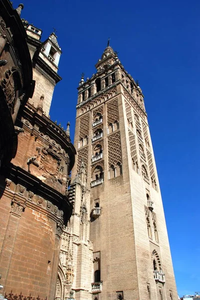 View Cathedral Giralda Tower Seville Seville Province Andalucia Spain — Stock Photo, Image
