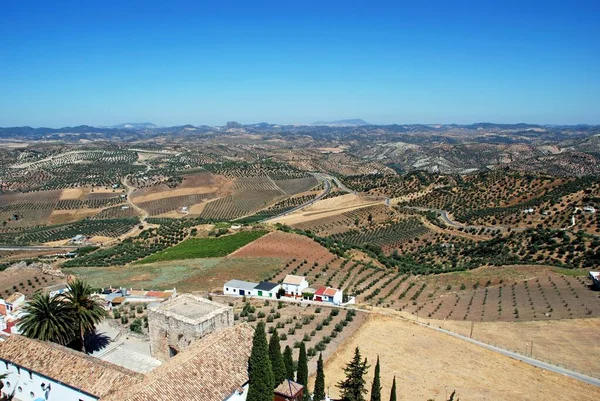 Vista Elevada Casas Borde Ciudad Campo Circundante Olvera Provincia Cádiz —  Fotos de Stock