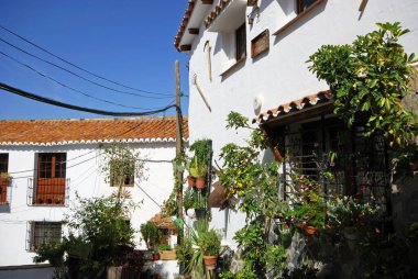 Köy merkezindeki kasaba evleri, beyazlatılmış köy (pueblo blanco), Macharaviaya, Costa del Sol, Malaga Eyaleti, Endülüs, İspanya.