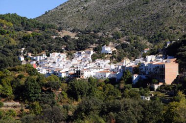 Igualeja, Serrania de Ronda, Malaga Eyaleti, Endülüs, İspanya, Batı Avrupa.
