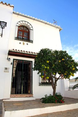 Ön planda portakal ağacı olan Townhouse, Parauta, Serrania de Ronda, Malaga Eyaleti, Endülüs, İspanya, Batı Avrupa.