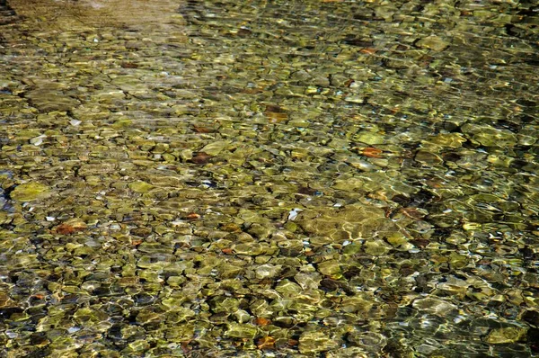 Kamyki Płytkich Wodach Dnie Rzeki Genal Refugio Pesca Igualeja Serrania — Zdjęcie stockowe