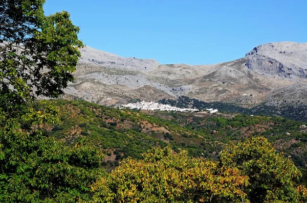 View Whitewashed Village Pueblo Blanco Surrounding Countryside Cartajima Serrania Ronda — Stock Photo, Image