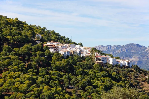 White Village Surrounded Forest Chestnut Trees Pujerra Serrania Ronda Malaga — Stock Photo, Image