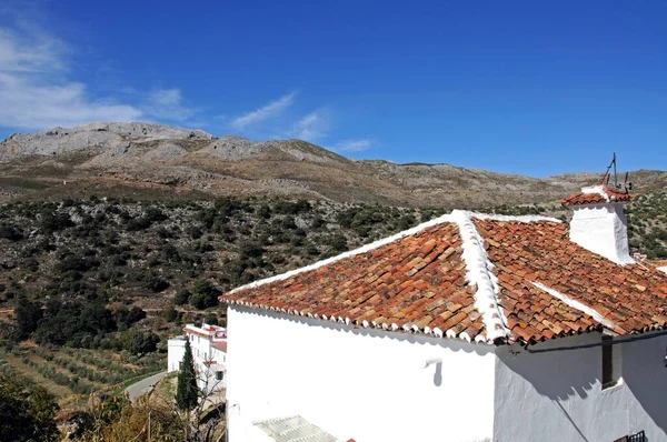 Parauta, Serrania de Ronda, Malaga Eyaleti, Endülüs, İspanya, Batı Avrupa.