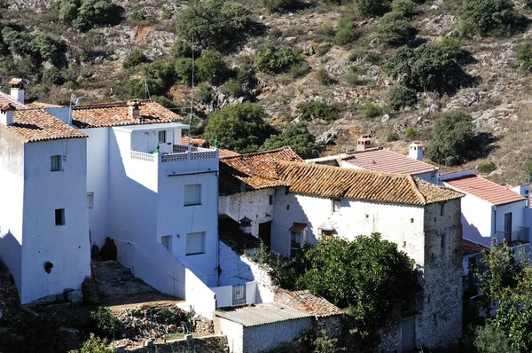 Adosados Centro Del Pueblo Parauta Serrania Ronda Provincia Málaga Andalucía — Foto de Stock