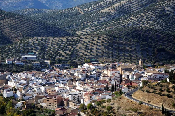 Vista Elevada Del Pueblo Encalado Pueblo Blanco Con Montañas Parte —  Fotos de Stock