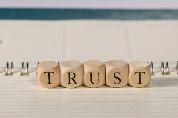 나무 조각에 신뢰 단어입니다. 신뢰 개념 — 스톡 사진