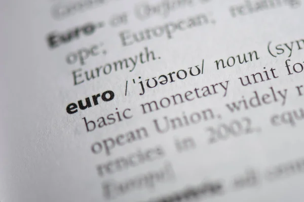 Euro szót a szótárban. euro-koncepció — Stock Fotó