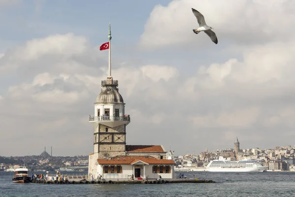 Παρθενικό Πύργο Και Γλάρος Κωνσταντινούπολη — Φωτογραφία Αρχείου