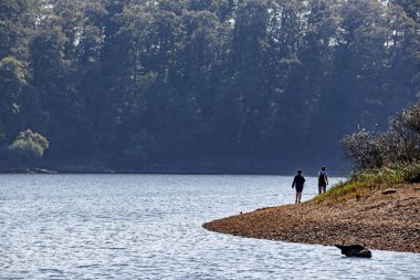 Sariyer, İstanbul, 20 Ekim 2019. Belgrad Ormanı, İstanbul 'un Avrupa yakasında doğal yollardan oluşan bir ormanlık alan. Sonbahar mevsiminde Belgrad ormanlarından manzara ve doğa manzarası.
