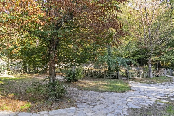 Sariyer Stanbul Ekim 2019 Belgrad Ormanı Stanbul Avrupa Yakasında Doğal — Stok fotoğraf