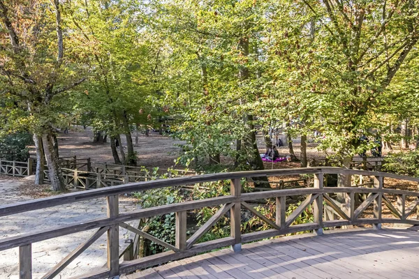 Sariyer, İstanbul, 20 Ekim 2019. Belgrad Ormanı, İstanbul 'un Avrupa yakasında doğal yollardan oluşan bir ormanlık alan. Sonbahar mevsiminde Belgrad ormanlarından manzara ve doğa manzarası.