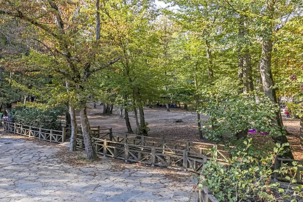 Sariyer Stanbul Ekim 2019 Belgrad Ormanı Stanbul Avrupa Yakasında Doğal — Stok fotoğraf