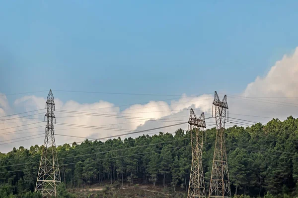 Hoogspanningsleidingen Bossen — Stockfoto