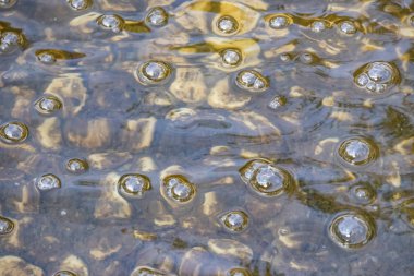 Su ve taşlarla süslü havuzu kapat.