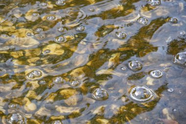 Su ve taşlarla süslü havuzu kapat.
