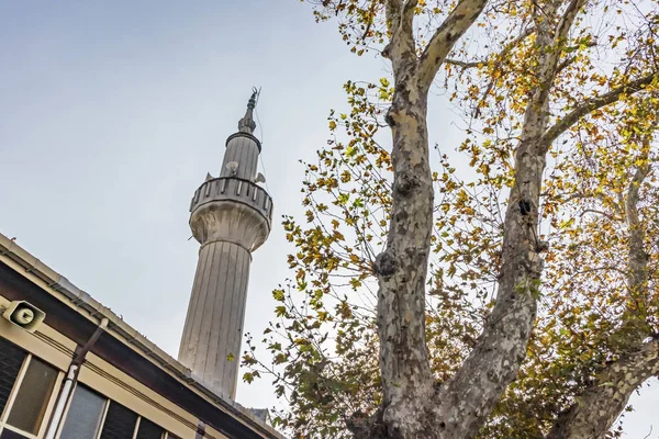 11月16日至20日Osmanaga清真寺和香烟 Kadikoy区最有名的清真寺 — 图库照片