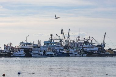 Silivri, İstanbul, 14 Aralık 2019. Silivri, İstanbul 'un merkezine 67 km uzaklıkta Avrupa yakasında bir sahil beldesi. Silivri 'den peyzaj ve deniz manzarası 