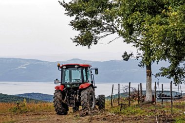 Fulacik, izmit, hindi-14 Temmuz 2019 orman dede lavanta parkı, bahçede sergilenen sanat eserleri, fulacik 'te iznik manzarası, izmit