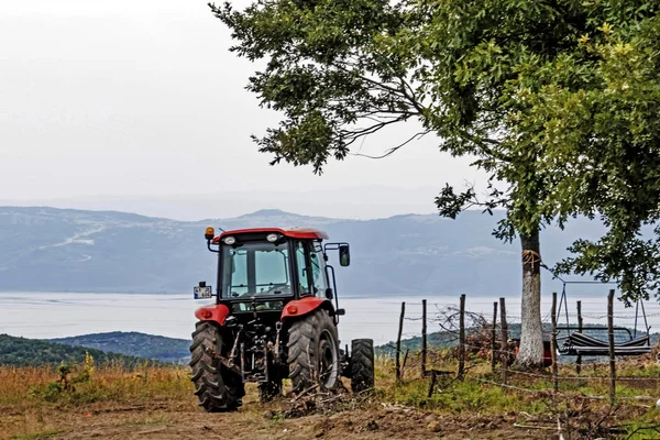 Fulacik Izmit Hindi Temmuz 2019 Orman Dede Lavanta Parkı Bahçede — Stok fotoğraf