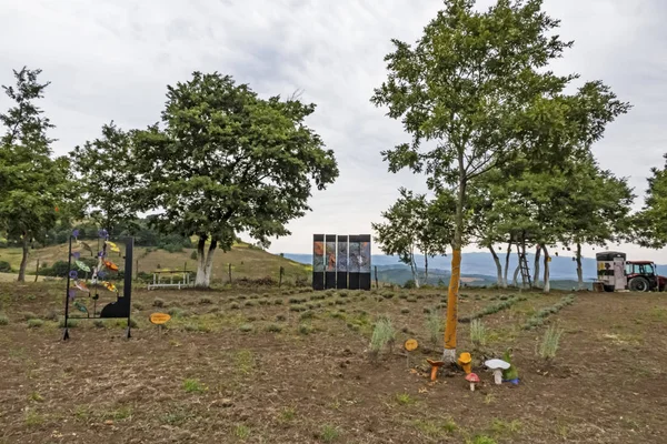 Fulacik Izmit Kalkoen Juli 2019 Orman Dede Lavendel Park Met — Stockfoto