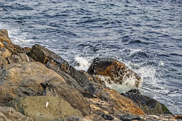 Камни Волны Берегу Моря — стоковое фото