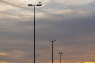 Işık için açık sokak lambası 