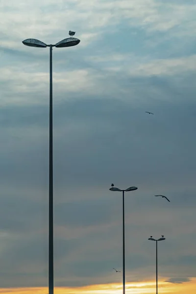 Işık Için Açık Sokak Lambası — Stok fotoğraf