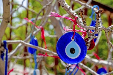 mavi tılsım ağaç dallarında